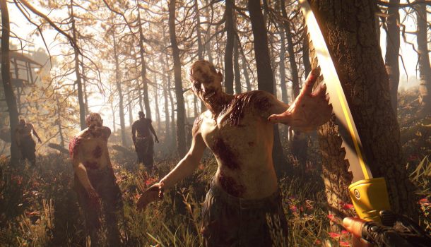 Dying Light: The Following